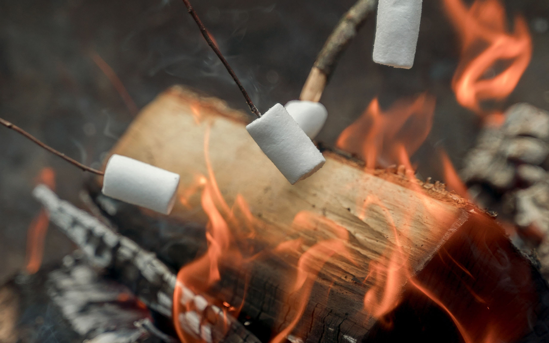 marshmallows roasting on a log fire