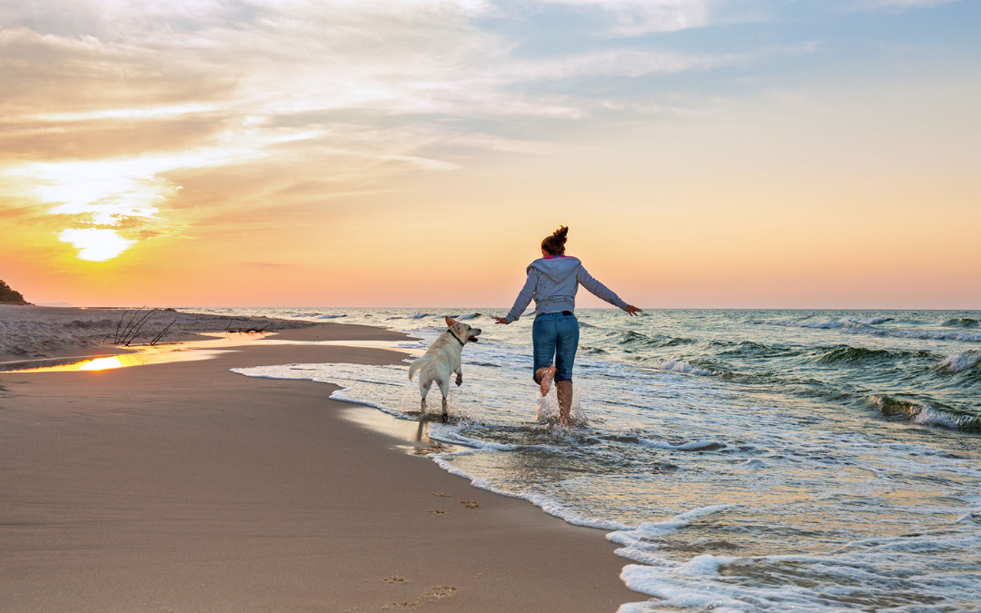 woman and dog running along a beach