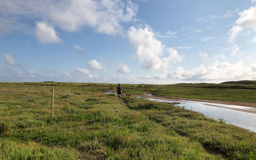 man and dog walking a field on the norfolk coast path