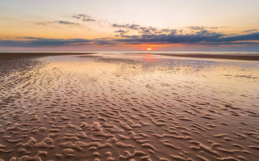 wide open holme beach