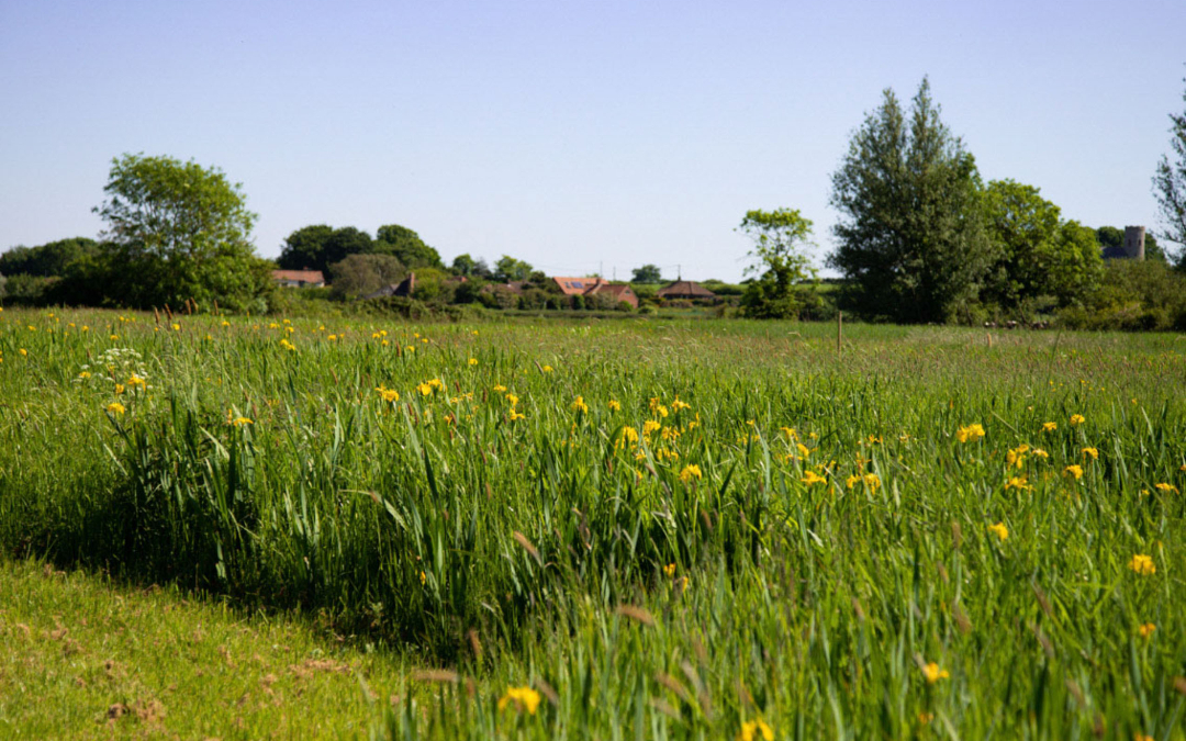 views of holme meadow