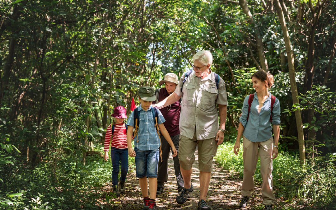 family hiking through a forest