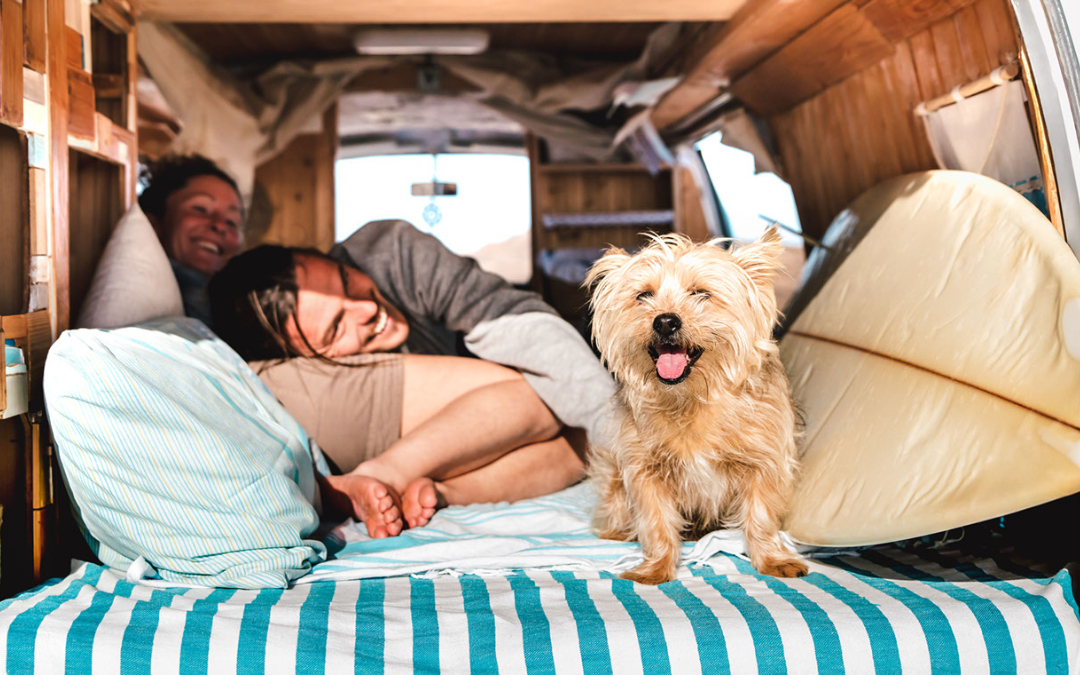 young couple with dog campervan