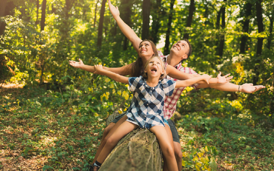 family on tree in forest