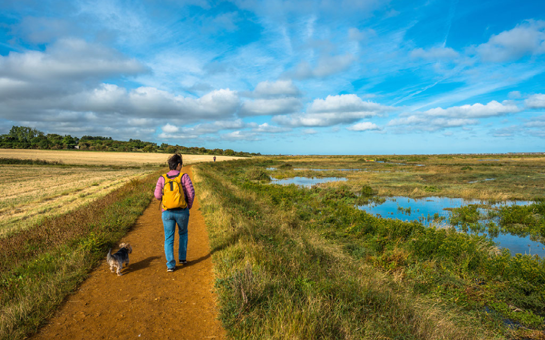 man and dog hiking norfolk broads
