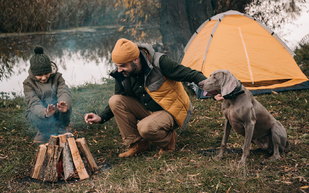 couple by lake with dog