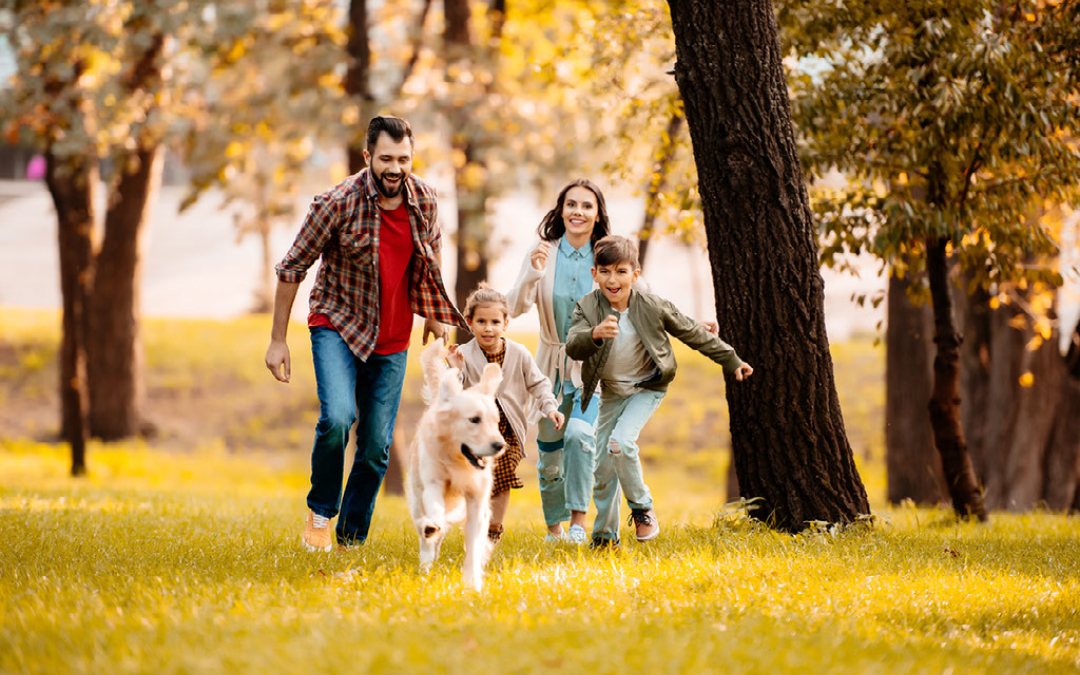 family and dog running in forest