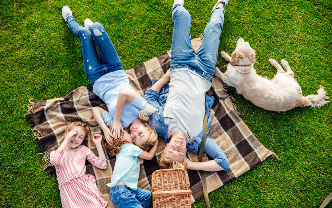 picnic family dog