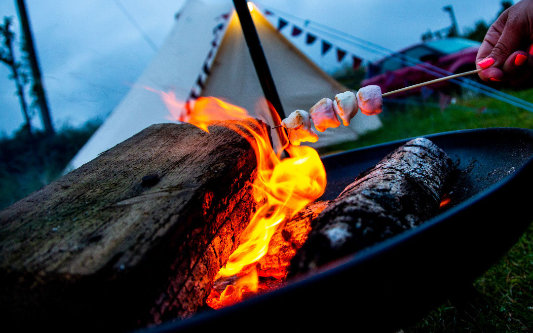 marshmallow over a fire