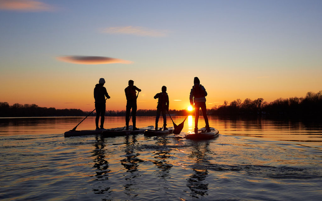 group paddleboarding in water