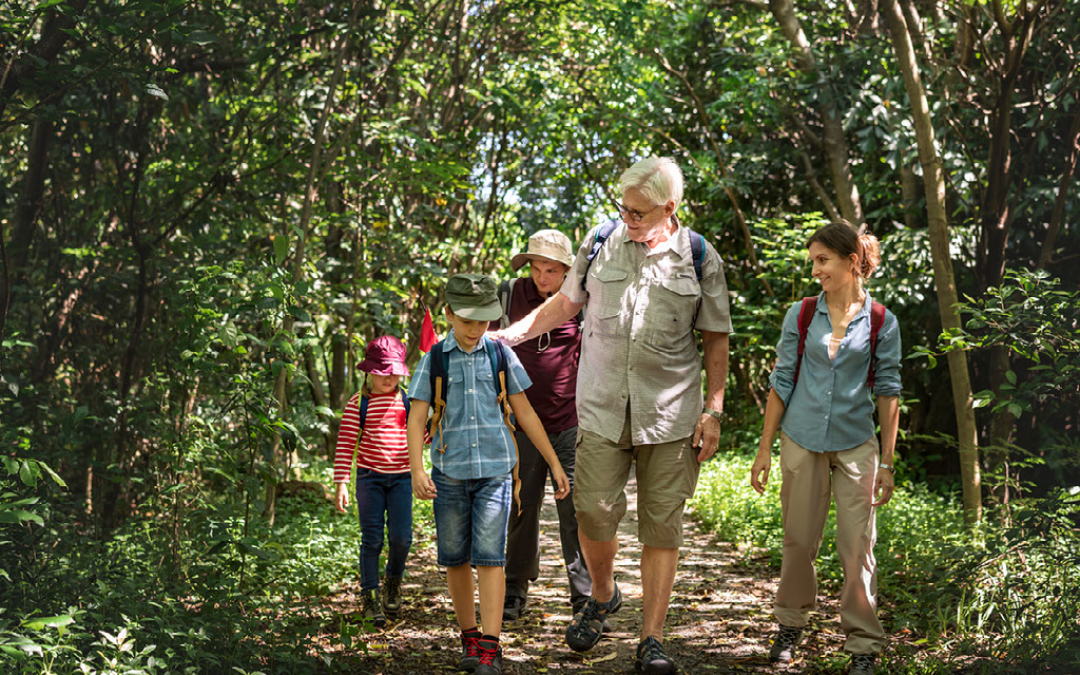 grandparents parents and kids walking a trail through a forest