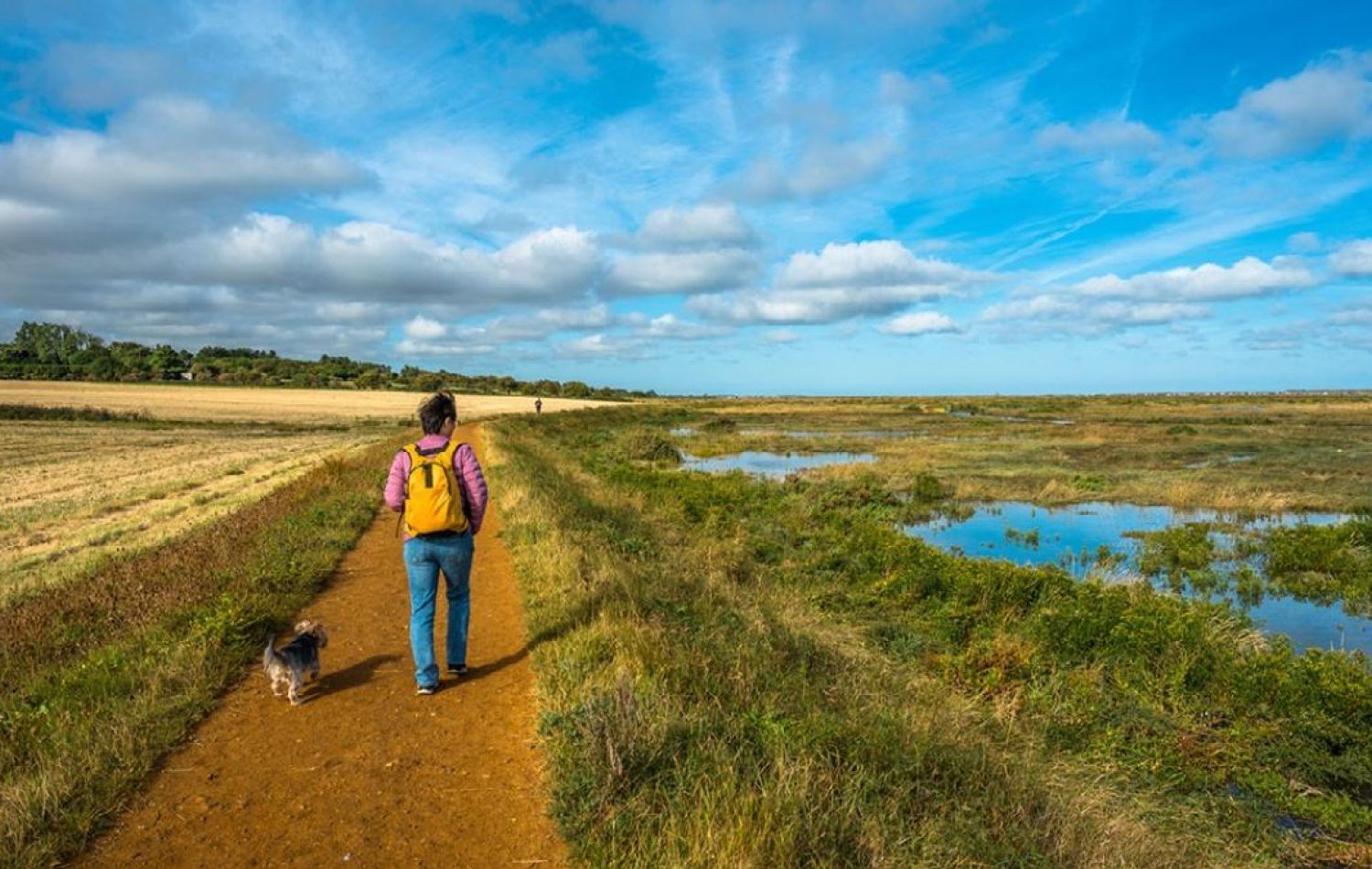 backpacker and small dog hiking along Norfolk marshes