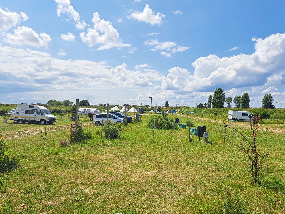 A well-tended campfield with shrubbery and hosting camping guests