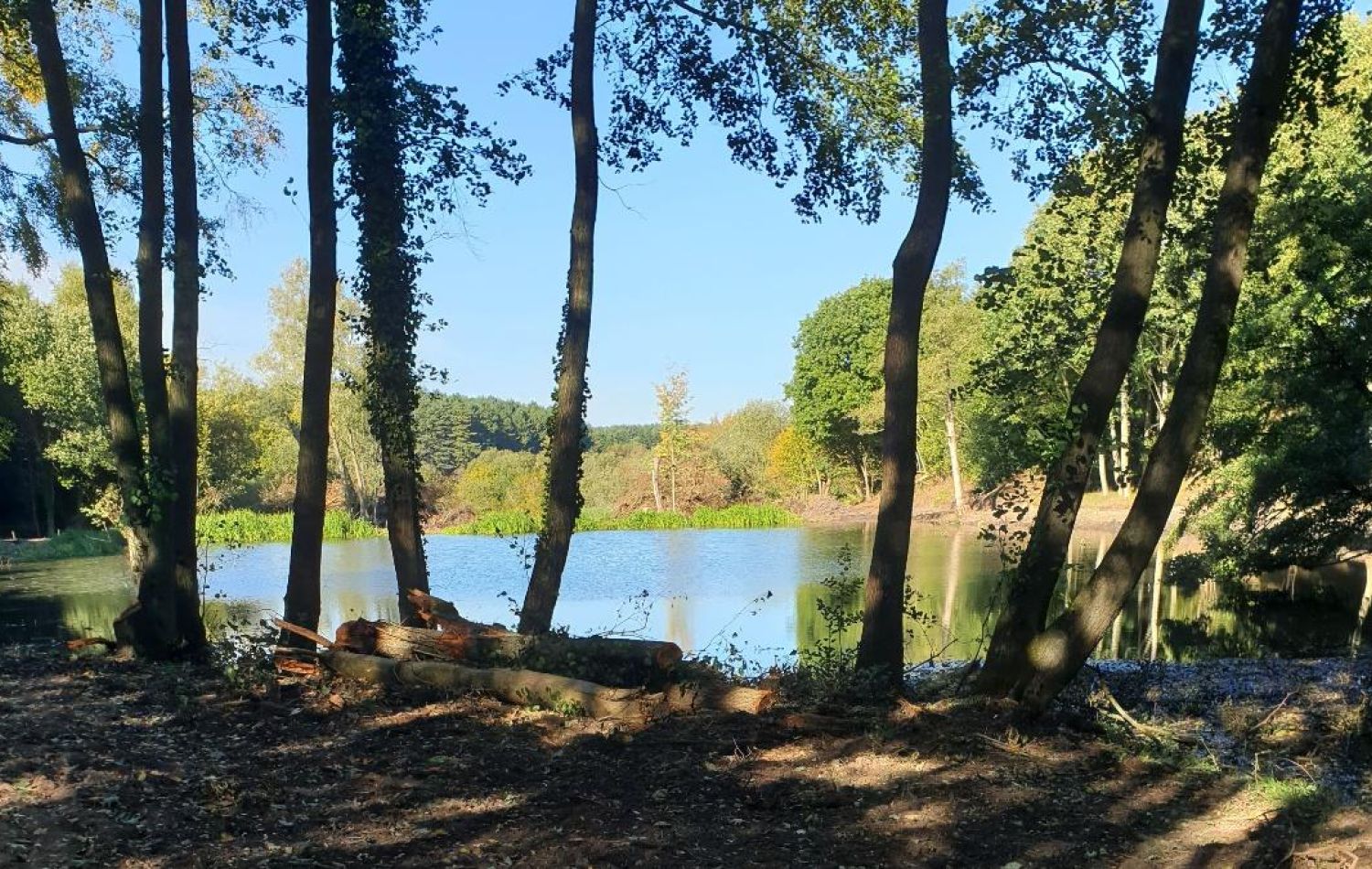 holt hollow north norfolk lake through the trees