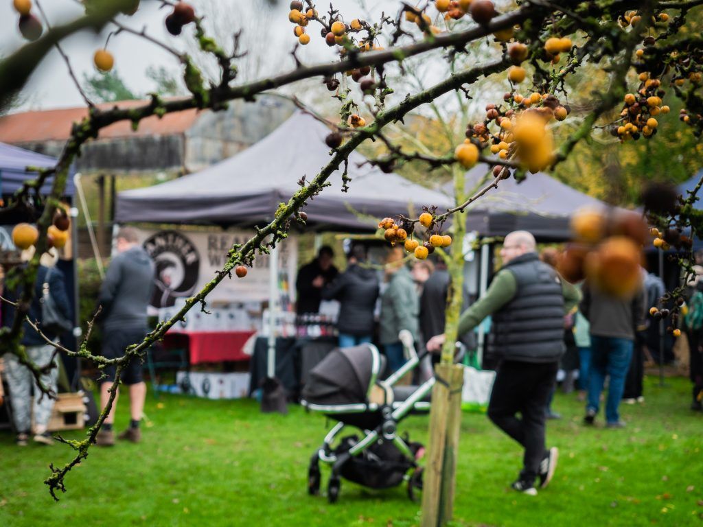 berries growing on a winter tree with a christmas market in the background