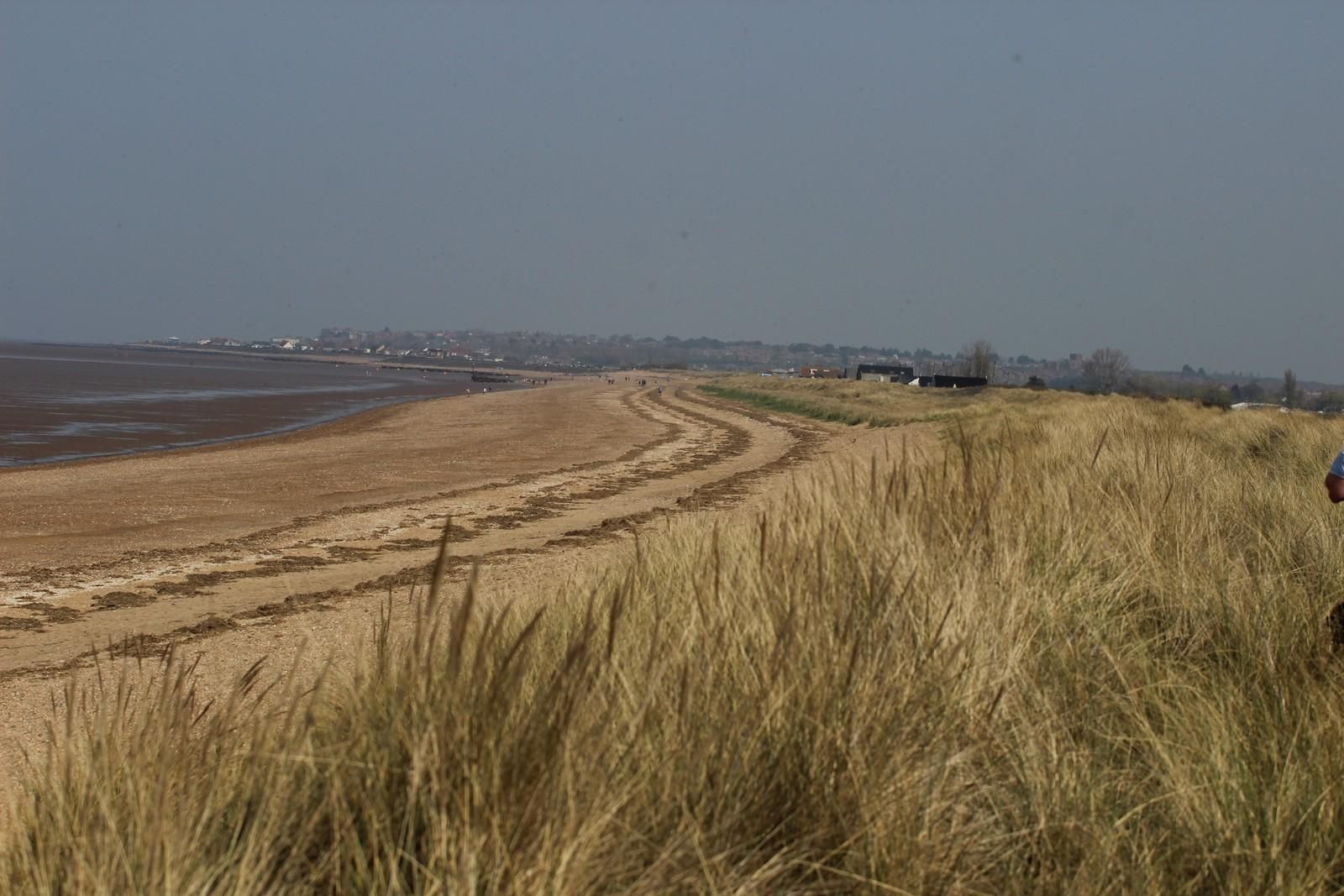 Snettisham Beach with nature filled sanddunes and sandy shores