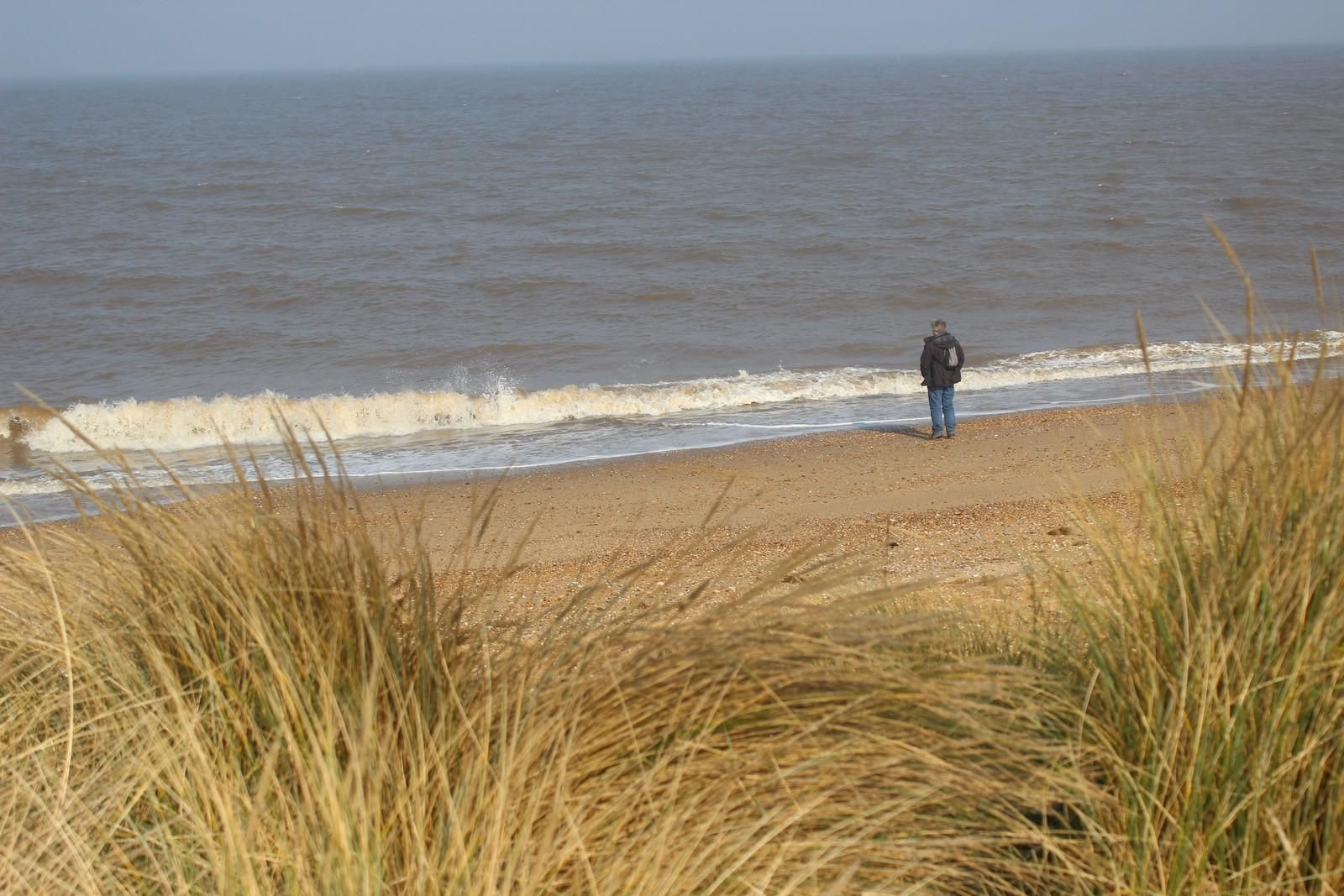 Man Contemplating while watching the waves roll to the sandy shore with a view through the sand dunes