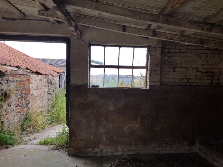 The inside of a dark, dank room looking out a broken window