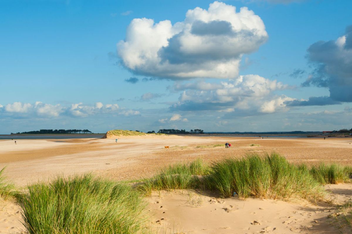 a view across the dunes and marsh of wells-next-the-sea