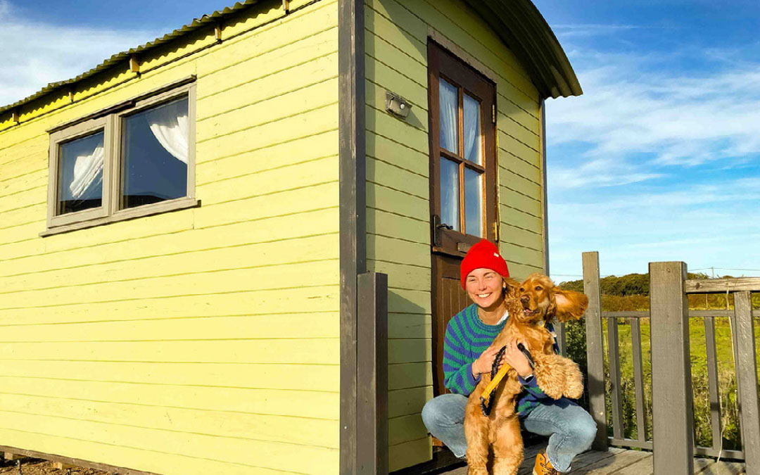 dog on a windy day outside a shepherds hut