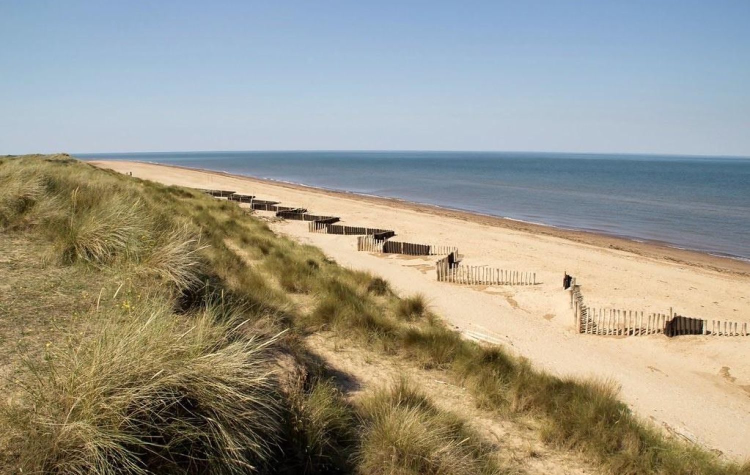 sand dunes at holme dunes national reserve