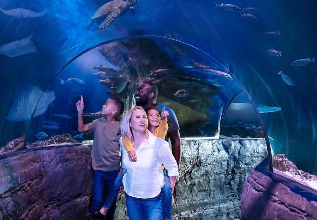 Camping hunstanton: Sea Life Hunstanton 