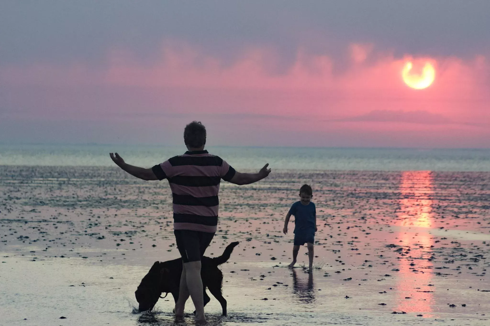 a father and son walking on the beach with their dog during sunset
