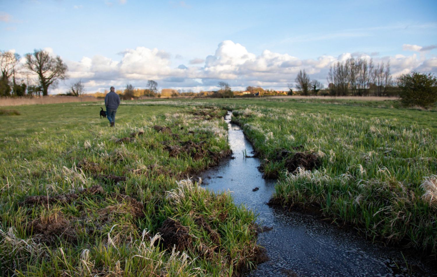 west of wells marshland stream